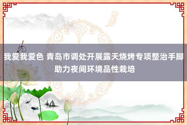 我爱我爱色 青岛市调处开展露天烧烤专项整治手脚 助力夜间环境品性栽培