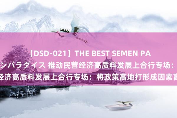 【DSD-021】THE BEST SEMEN PARADISE 美女12人とザーメンパラダイス 推动民营经济高质料发展上合行专场：将政策高地打形成因素高地