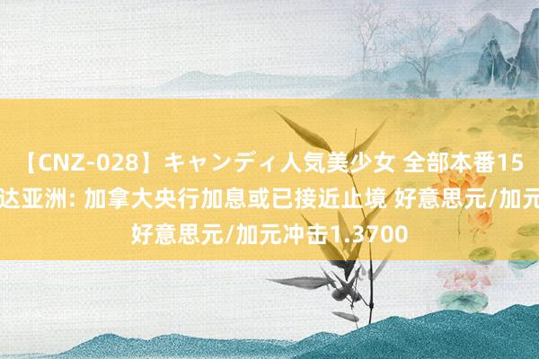 【CNZ-028】キャンディ人気美少女 全部本番15人30連発 邦达亚洲: 加拿大央行加息或已接近止境 好意思元/加元冲击1.3700