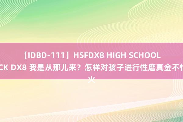 【IDBD-111】HSFDX8 HIGH SCHOOL FUCK DX8 我是从那儿来？怎样对孩子进行性磨真金不怕火