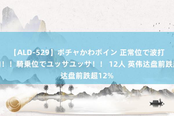 【ALD-529】ポチャかわボイン 正常位で波打つ腹肉！！騎乗位でユッサユッサ！！ 12人 英伟达盘前跌超12%