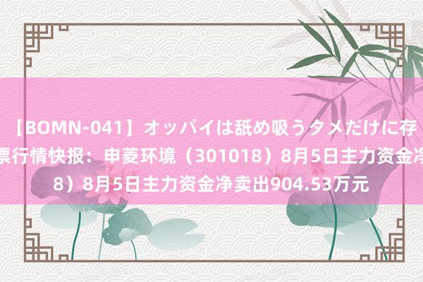 【BOMN-041】オッパイは舐め吸うタメだけに存在する4時間3 股票行情快报：申菱环境（301018）8月5日主力资金净卖出904.53万元