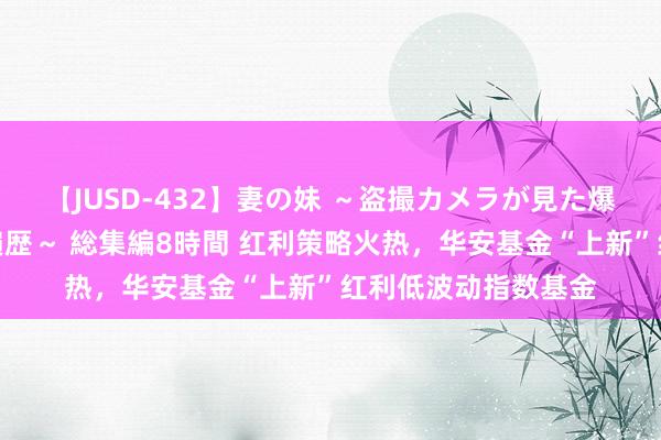 【JUSD-432】妻の妹 ～盗撮カメラが見た爆乳の妹を襲う男の遍歴～ 総集編8時間 红利策略火热，华安基金“上新”红利低波动指数基金