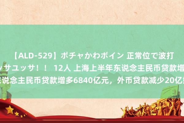 【ALD-529】ポチャかわボイン 正常位で波打つ腹肉！！騎乗位でユッサユッサ！！ 12人 上海上半年东说念主民币贷款增多6840亿元，外币贷款减少20亿好意思元