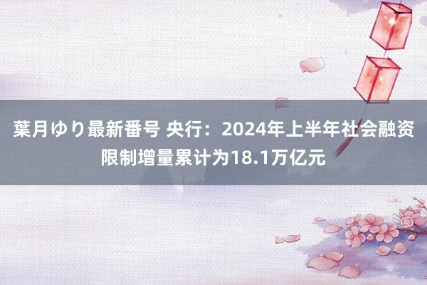 葉月ゆり最新番号 央行：2024年上半年社会融资限制增量累计为18.1万亿元