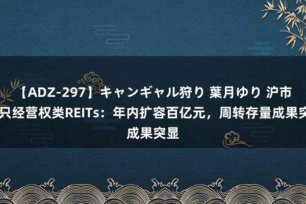 【ADZ-297】キャンギャル狩り 葉月ゆり 沪市13只经营权类REITs：年内扩容百亿元，周转存量成果突显