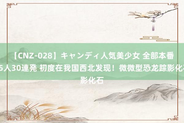 【CNZ-028】キャンディ人気美少女 全部本番15人30連発 初度在我国西北发现！微微型恐龙踪影化石