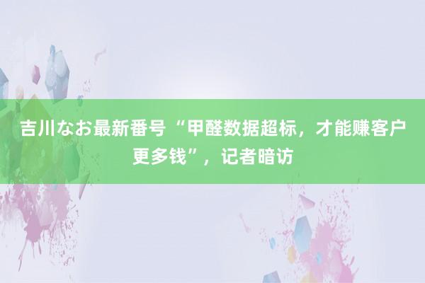 吉川なお最新番号 “甲醛数据超标，才能赚客户更多钱”，记者暗访