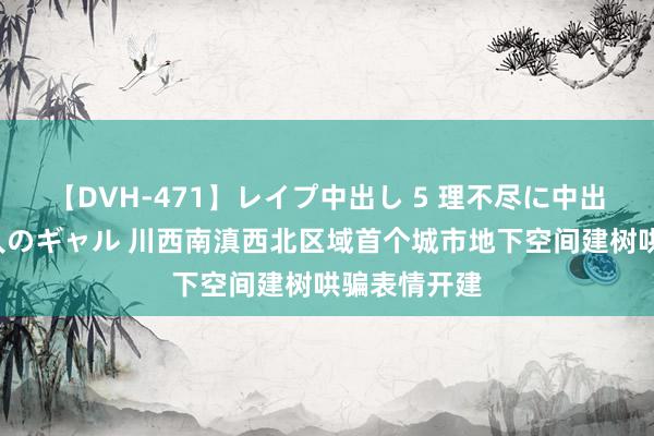 【DVH-471】レイプ中出し 5 理不尽に中出しされた7人のギャル 川西南滇西北区域首个城市地下空间建树哄骗表情开建