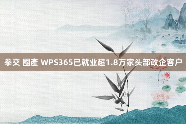 拳交 國產 WPS365已就业超1.8万家头部政企客户