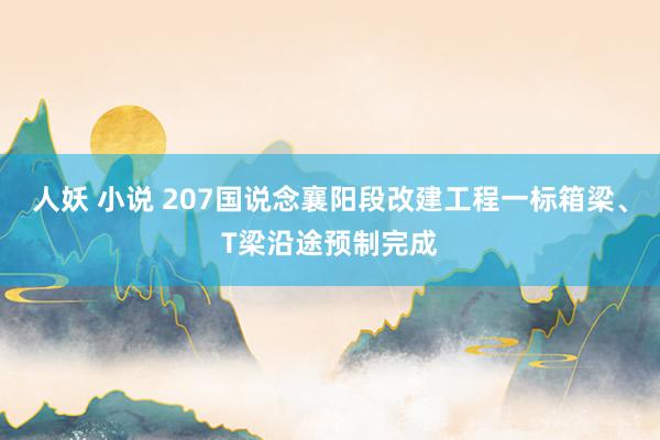 人妖 小说 207国说念襄阳段改建工程一标箱梁、T梁沿途预制完成