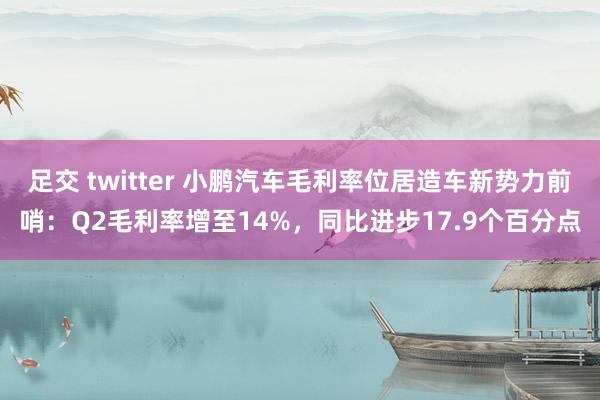 足交 twitter 小鹏汽车毛利率位居造车新势力前哨：Q2毛利率增至14%，同比进步17.9个百分点