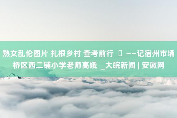 熟女乱伦图片 扎根乡村 查考前行  ​——记宿州市埇桥区西二铺小学老师高娥  _大皖新闻 | 安徽网