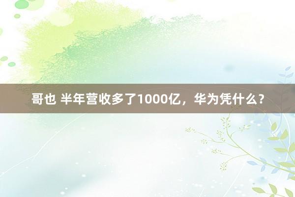 哥也 半年营收多了1000亿，华为凭什么？