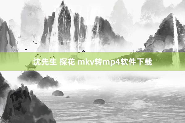 沈先生 探花 mkv转mp4软件下载