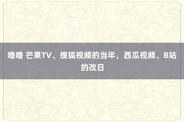 噜噜 芒果TV、搜狐视频的当年，西瓜视频、B站的改日