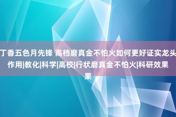 丁香五色月先锋 高档磨真金不怕火如何更好证实龙头作用|教化|科学|高校|行状磨真金不怕火|科研效果